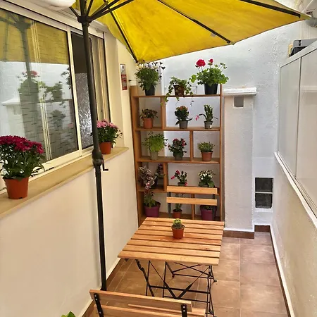 Homestay Bonita